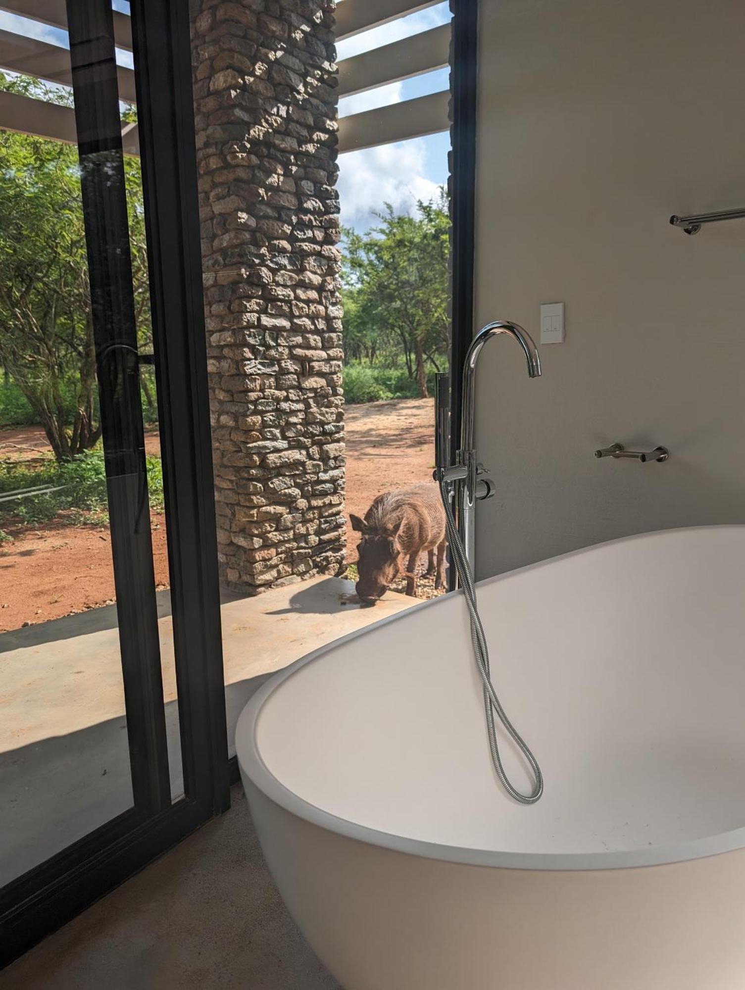 Ungava Retreat Villa Marloth Park Exterior photo