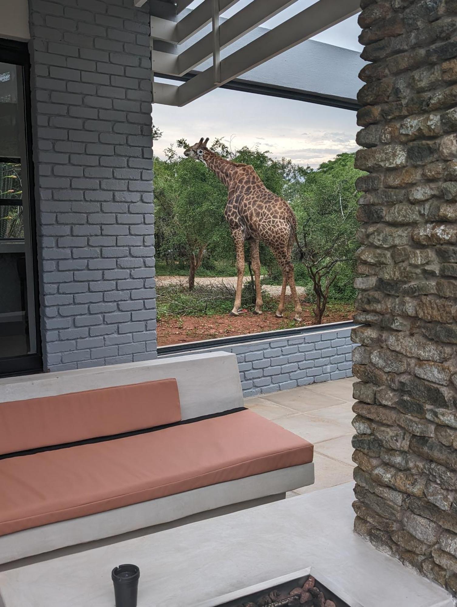 Ungava Retreat Villa Marloth Park Exterior photo